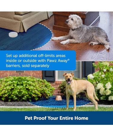 PetSafe Classic In-Ground Fence for Dogs and Cats - 500ft Wire- 5 Acres Coverage - 1 Dog Kit - Buy Online on SooperMarket.com