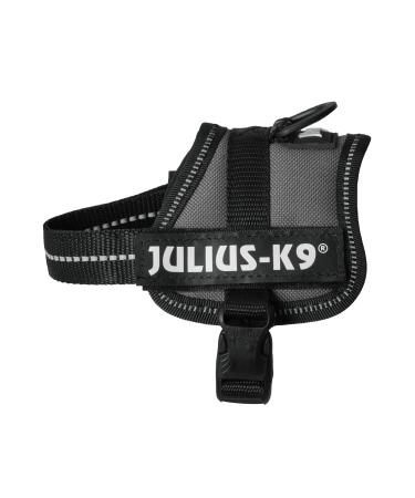 K9 Powerharness Size: 3XS/Baby 1 Anthracite 3XS/Baby 1 Anthracite