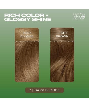 Clairol Natural Instincts Semi-Permanent No Ammonia Hair Dye 7 Dark Blonde 7 Dark Blonde 1 count (Pack of 1) - Buy Online on SooperMarket.com