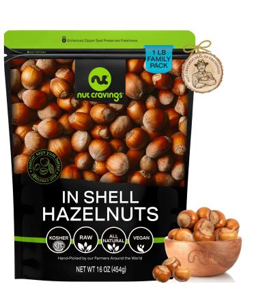 Raw Hazelnuts Filberts In Shell - Whole Superior to Organic (16oz - 1 LB) Bulk Nuts Packed Fresh in Resealable Bag - Healthy Protein Food Snack All Natural Keto Friendly Vegan Kosher Hazelnuts In Shell 1 Pound (Pack of 1)