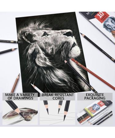 MARKART Professional Charcoal Drawing Set - 10 Piece Color Pencils for Sketching, Shading, and Blending - Ideal for Beginners and Artists - Buy Online on SooperMarket.com