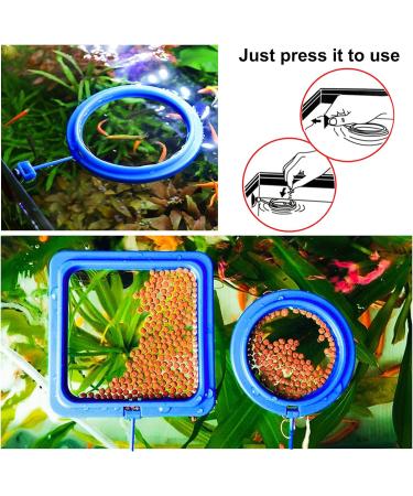 Molain Fish Feeding Ring 2 Pieces Fish Feeder Aquarium Fish Turtle Tank Accessories Food Feeder Circle For Guppy Bettas goldfish Turtle (Blue) - Buy Online on SooperMarket.com
