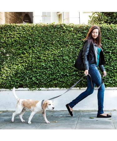 Personalized Reflective Dog Collar & Leash Set - Tagme XS Gray 1.5m Double-Sided Leash for Small Dogs - International Shipping Available - Buy Online on SooperMarket.com