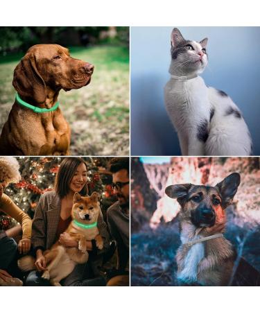 Dewel Shining Tick Collar for Dogs - Adjustable Waterproof Flea & Tick Prevention XL 63.5cm - Lightweight & Effective Vermin Control - Buy Online on SooperMarket.com