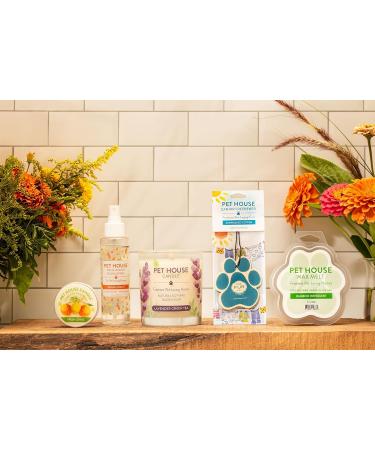 One for All Pet House Candle - Bamboo Watermint | Natural Soy Wax | 15 Scents for Animal Odor Removal - Buy Online on SooperMarket.com