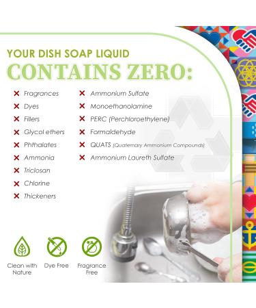 Truly Free Natural Dishwashing Liquid - Plant-Based Sweet Basil Dish Soap | 2 Refill Packs & 1 Refillable Bottle Starter Kit | Eco-Friendly International Shipping - Buy Online on SooperMarket.com