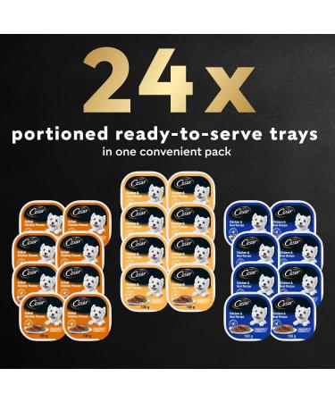 CESAR Classic Loaf in Sauce Adult Wet Dog Food Chicken Lovers Variety Pack & Adult Wet Dog Food Classic Loaf in Sauce Entr es - Pork Tenderloin - Top Sirloin 100g Tray (12 Pack) - Buy Online on SooperMarket.com