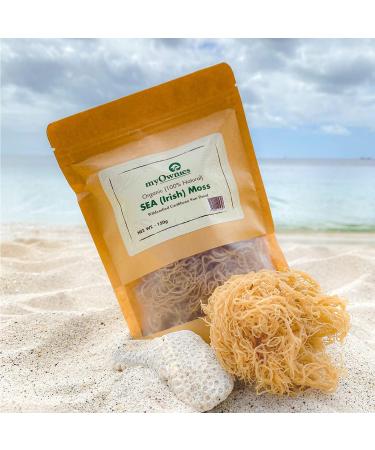 Dr. Sebi Grade 100% Organic Irish Sea Moss | Gold | Caribbean | Wildcrafted Raw Sun Dried | Premium Quality | with Over 90 Minerals and Vitamins Non-GMO and Vegan Sun Dried Superfood 150g/5oz - Buy Online on SooperMarket.com