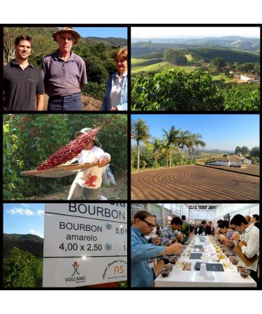 Brazil Adrano Volcano Coffee Green Unroasted Beans (3 LB) - Premium Quality - 100% Arabica - Direct From Farm - Sustainable Sourcing - Buy Online on SooperMarket.com