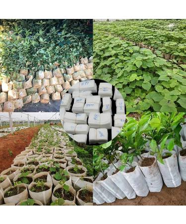 Saterkali 100Pcs Planting Bag High Performance Easy to Use Degradable Nursery Bag for Planting 12cm x 15cm - Buy Online on SooperMarket.com