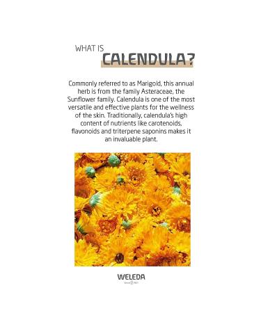 Weleda Baby Body Cream Calendula 2.5 fl oz - Gentle Moisturizer for Delicate Skin - Buy Online on SooperMarket.com
