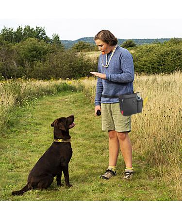AEMIAO Dog Walking Bag with Bottle Holder & Poo Bags - Large Outdoor Training Treat Pouch for Dogs - Waist & Shoulder Belt - 3 Ways to Wear - Buy Online on SooperMarket.com
