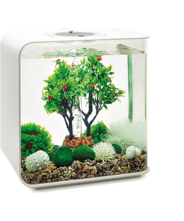 Buy Biorb 55028 Winter Decor Set 30L - Realistic Aquatic Plants Roots & Stones for Freshwater & Saltwater Aquariums - Buy Online on SooperMarket.com