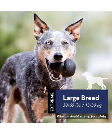 KONG Extreme Dog Toy - Large Black Natural Rubber for Chew, Chase, and Fetch - Durable and Fun for Pets - Buy Online on SooperMarket.com