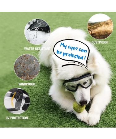 NAMSAN Dog Goggles Transparent Pet Sunglasses Waterproof Windproof Eye Protection for Large/Medium Dog Clear - Buy Online on SooperMarket.com