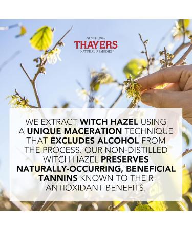THAYERS Alcohol-Free Witch Hazel Unscented Face Toner Skin Care with Aloe Vera Natural Gentle Facial Toner for All Skin Types Duo Pack (2 x 355mL) - Buy Online on SooperMarket.com