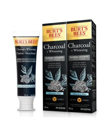Burt's Bees Charcoal Fluoride Toothpaste Mountain Mint 105 mL (Pack of 2)