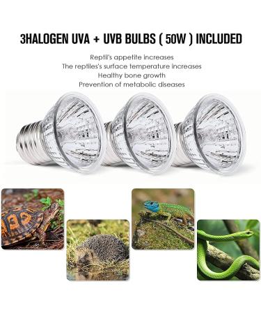 Tortoise Heat Lamp 50W UVA UVB Basking Lamp with 360 Rotatable Clip & Power Adapter 30cm Rotatable Gooseneck with 3 x 50W Heat Bulb Heating Light for Reptiles Lizard Turtle Snak Aquarium - Buy Online on SooperMarket.com