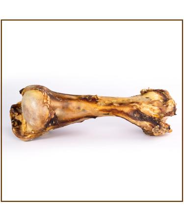 Prideedogs Jumbo beef bone 1 piece The Premium Kausnack for your dog |100% beef from German productionIn the odor -neutral bag |Chewing article