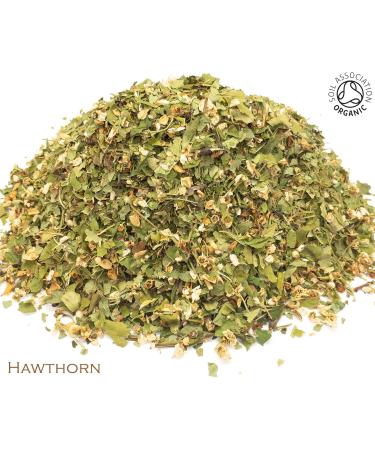 Hawthorn and Ginkgo Biloba Organic Herbal Infusion (25 Unbleached Tea Bags - 50g) - Buy Online on SooperMarket.com