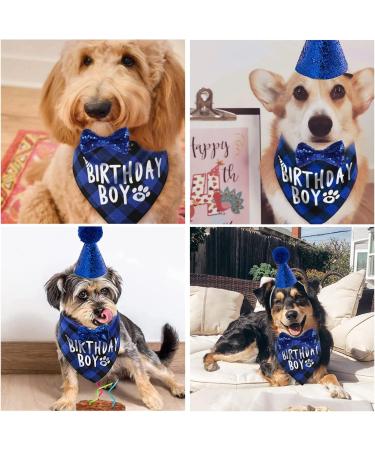 Dog Birthday Hat & Bandana Set - 3pcs Blue Dog Party Accessories for Boys & Girls - Perfect for Puppies & Cats - Buy Online on SooperMarket.com