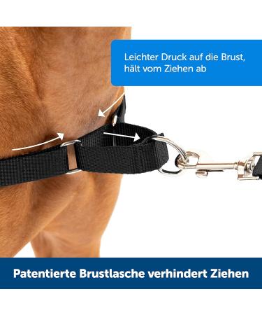 PetSafe Easy Walk Harness - Anti-Pull Dog Harness Red Size L with 1.8M Leash | Reduce Choking & Coughing | International Shipping Available - Buy Online on SooperMarket.com