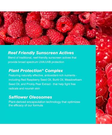 Coola Classic SPF 50 Body Sun Cream Spray 70 Percent + Organic Sunscreen with Broad Spectrum UVA/UVB Protection Reef Friendly and Vegan 177 ml Unscented - Buy Online on SooperMarket.com