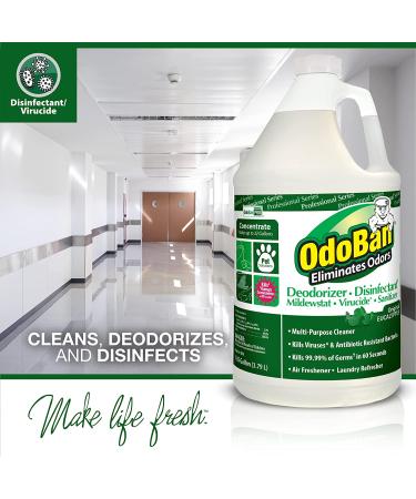 OdoBan Professional 1 Gal Eucalyptus Odor Eliminator & 1 Gal BioLaundry Enzyme Detergent - 2 Pack - Buy Online on SooperMarket.com