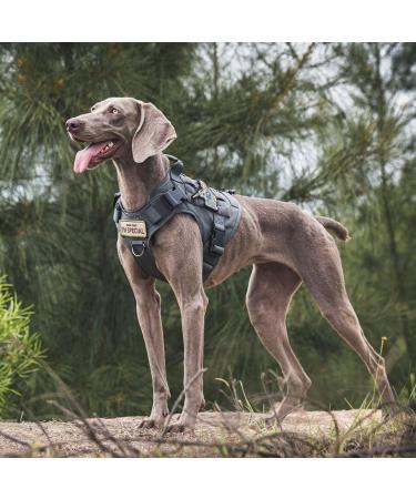 OneTigris Tactical Dog Vest | MOLLE Service Dog Harness | 1000D Nylon | Large | Grey - Ideal for Training & Outdoor Adventures - Buy Online on SooperMarket.com