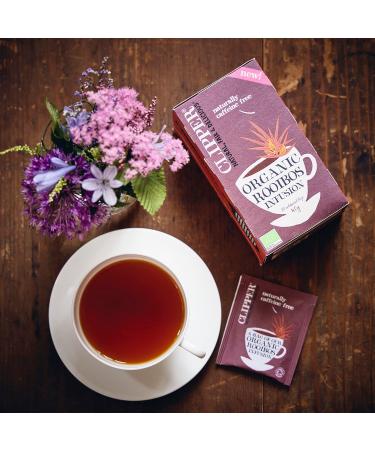 Clipper Rooibos 40g (20X2g tea bag) - Buy Online on SooperMarket.com