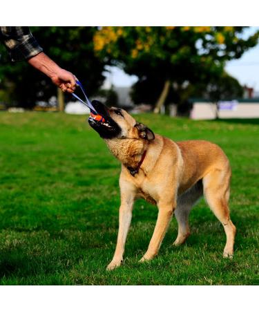 Chuckit! Ultra Tug Dog Toy | Large Rubber Ball Interactive Fetch & Tug Toy - Buy Online on SooperMarket.com