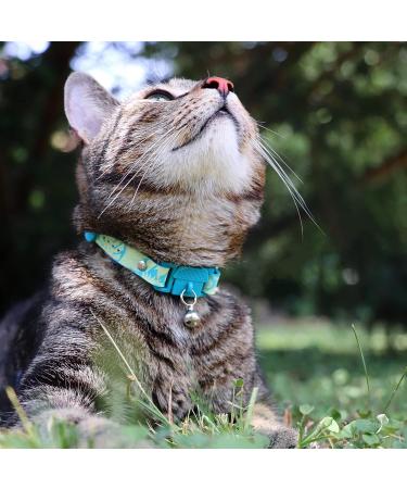 Kittyrama Botanical Collars for Cats & Kittens - Award-Winning Hypoallergenic Soft & Comfortable Veterinarian Approved Breakaway Design - Buy Online on SooperMarket.com