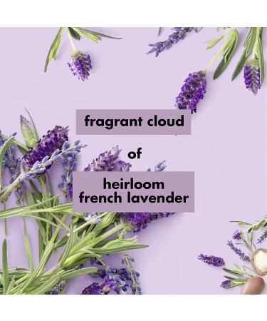 Love Beauty and Planet Soothe & Serene Body Lotion - Argan Oil & Lavender 13.5 fl oz - Buy Online on SooperMarket.com