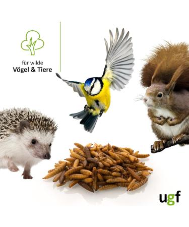 UGF Soldier Fly Larvae (500g) - Superior to Dried Mealworms - 85x Calcium - Ideal Treats for Birds Turtles Rodents & More - Buy Online on SooperMarket.com