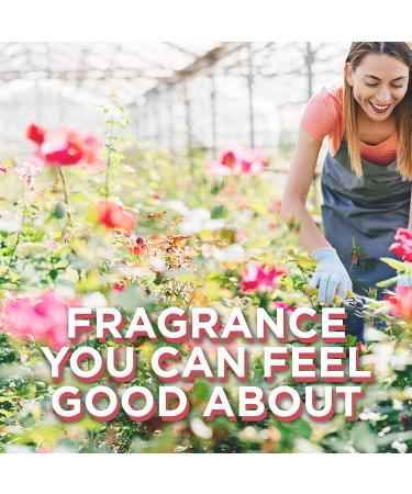 Glade PlugIns Rose & Bloom Air Freshener Refills - 5 Count Pack, 3.35 Fl Oz - Scented Essential Oils for Home & Bathroom - Buy Online on SooperMarket.com