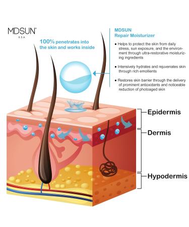 MDSUN Repair Moisturizer | Anti-Aging Face Cream for Wrinkles & Fine Lines | Brightening Antioxidant Formula with SPF | Shop Internationally - Buy Online on SooperMarket.com
