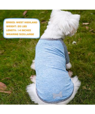 KYEESE 2 Pack Dog Shirts | Quick Dry Raglan Sleeve | Soft & Stretchy | Lightweight Dog Clothes | Reflective Label | 21 Chest | Small to Medium Dogs | Blue & Grey | 2 Pack - Buy Online on SooperMarket.com