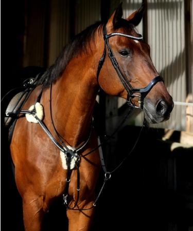Tysons Breeches 5 Point Breastplate - Halla Lambskin Rhinestone Glitter Leather Black with Martingale for Thoroughbreds - International Shipping Available - Buy Online on SooperMarket.com