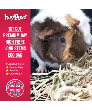HayPigs Timothy Hay - Parent (1KG) 1 count (Pack of 1) - Buy Online on SooperMarket.com