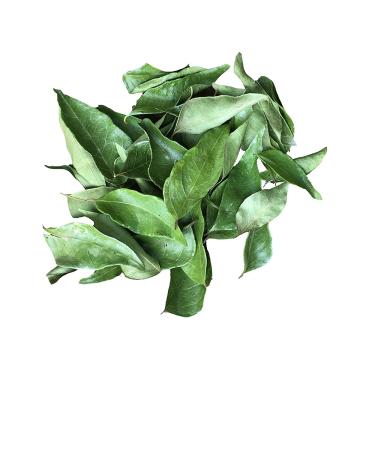 Organic Whole Air Dried Curry Leaves 0.3 oz - Premium Quality (10 g) - 0.3 Ounce Pack - Fresh and Aromatic - Buy Online on SooperMarket.com