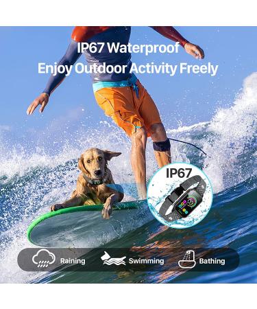 DINJOO Rechargeable Smart Bark Collar for Dogs - Adjustable Sensitivity Training Collar with Beep, Vibration, and Shock for Anti-Barking - Suitable for Large, Medium, Small Breeds - Black - Buy Online on SooperMarket.com