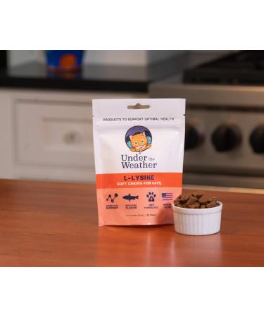 Under the Weather Pet Daily Cat L-Lysine | 60 Soft Chews | Vet Formulated & All Natural | Immune Support for Cats - Buy Online on SooperMarket.com