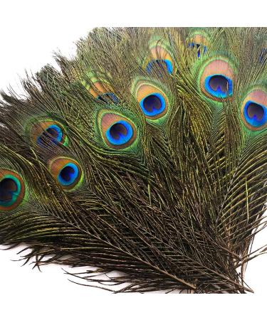 Piokio 50 pcs Natural Peacock Feathers in Bulk 10-12 inch(25-30 cm) Bulk for DIY Craft  Wedding  Mardi Gras Decoration 10-12 Inch(50PCS)