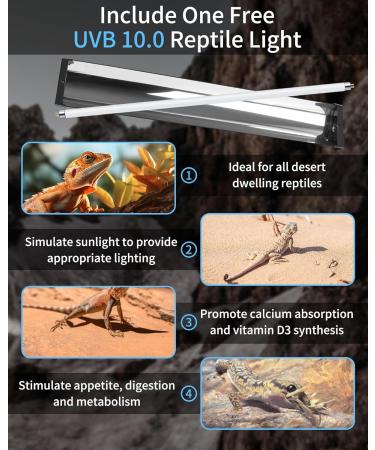 LUCKY HERP T5 Reptile Light Fixture Combo Kit 24W - 30% UVA + 10% UVB - 100-250V - Ideal for Amphibians, Tortoises, Lizards, and Bearded Dragons - Buy Online on SooperMarket.com