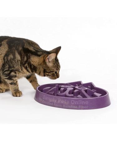 Veterinarian-Designed Large Purple Cat Puzzle Feeder Bowl for Enrichment and Activity - Buy Online on SooperMarket.com