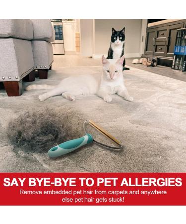 Pet Hair Remover Tool - Dog & Cat Hair Cleaner Lint Roller & Fur Removal Brush for Carpets Furniture & More - Portable & Effective - Green - Buy Online on SooperMarket.com