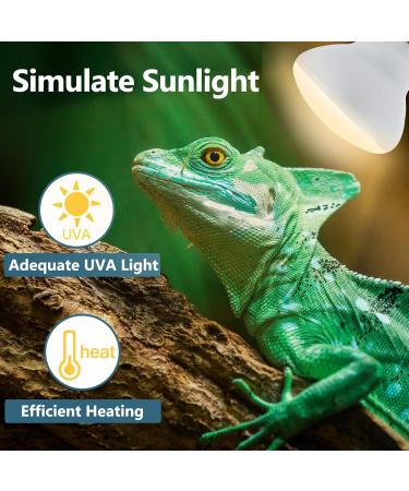 LUCKY HERP 150W Reptile Heat Bulb Basking Spot Heat Lamp for Reptiles Vivarium Light for Amphibian Chicks Dog Heating Use 150W 1 Pack - Buy Online on SooperMarket.com