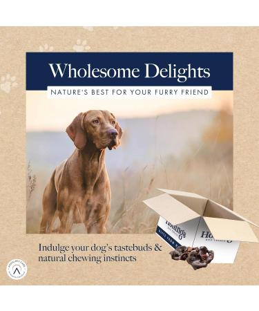 Hollings Pig Snouts Dog Treats 100% Natural Air Dried Crunchy Chews for Adult Dogs Grain Free & High in Protein (2kg Loose) 200 g (Pack of 1) - Buy Online on SooperMarket.com