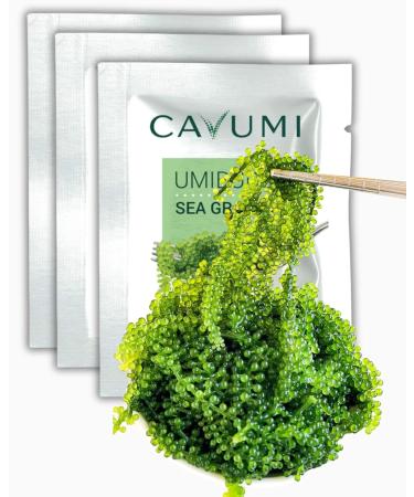 Buy CAVUMI Sea Grapes 3x20g - Crunchy Seaweed Snack | Umibudo Green Caviar Delight - International Shipping Available - Buy Online on SooperMarket.com