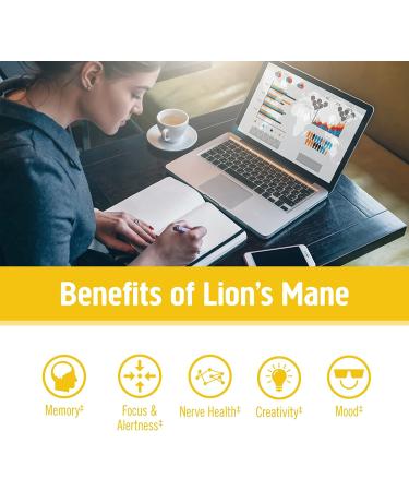 Om Mushrooms Lion's Mane Powder - 100% Organic, 7.05 oz (200 g) - Enhance Cognitive Function - Buy Online on SooperMarket.com